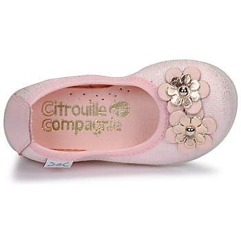 Citrouille et Compagnie JATAMAL Pink