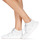 Sko Dame Lave sneakers adidas Originals ARKYN KNIT W Hvid
