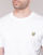 textil Herre T-shirts m. korte ærmer Lyle & Scott FAFARLITE Hvid
