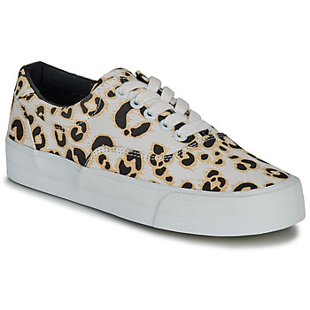 Sko Dame Lave sneakers Superdry CLASSIC LACE UP TRAINER Leopard