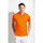 textil Herre Polo-t-shirts m. korte ærmer Sols PRESCOTT CASUAL DAY Orange