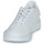 Sko Børn Lave sneakers adidas Originals Novice C Hvid