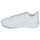 Sko Børn Lave sneakers adidas Originals Novice C Hvid
