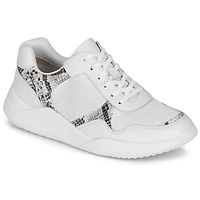 Sko Dame Lave sneakers Clarks SIFT LACE Hvid / Pyton
