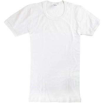 textil Dreng T-shirts m. korte ærmer Abanderado 0302-BLANCO Hvid