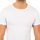 textil Herre T-shirts m. korte ærmer Abanderado 0806-BLANCO Hvid