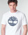 textil Herre T-shirts m. korte ærmer Timberland SS KENNEBEC RIVER BRAND TREE TEE Hvid
