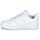 Sko Børn Lave sneakers Nike COURT BOROUGH LOW 2 GS Hvid
