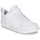 Sko Børn Lave sneakers Nike COURT BOROUGH LOW 2 PS Hvid
