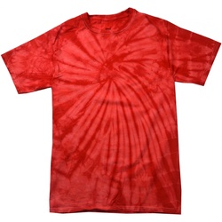 textil Børn T-shirts m. korte ærmer Colortone Spider Spider Red