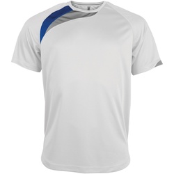 textil Herre T-shirts m. korte ærmer Kariban Proact PA436 White/ Royal/ Storm Grey