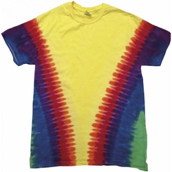 textil T-shirts m. korte ærmer Colortone TD05M Rainbow Vee