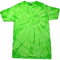 textil Børn T-shirts m. korte ærmer Colortone Spider Grøn