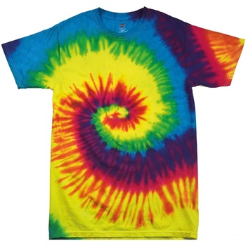 textil Børn T-shirts m. korte ærmer Colortone TD02B Flerfarvet