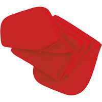 Accessories Halstørklæder Result R100A Rød