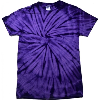 textil Børn T-shirts m. korte ærmer Colortone Spider Spider Purple