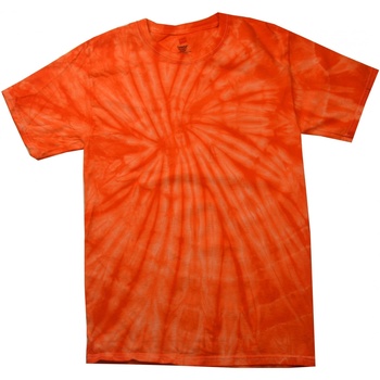 textil Børn T-shirts m. korte ærmer Colortone Spider Spider Orange