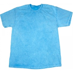 textil Herre T-shirts m. korte ærmer Colortone Mineral Baby Blue