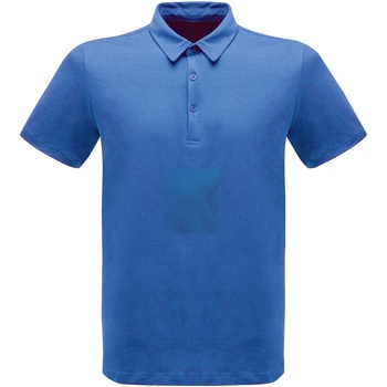 textil Herre Polo-t-shirts m. korte ærmer Regatta  Flerfarvet