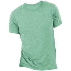 textil Herre T-shirts m. korte ærmer Bella + Canvas CA3413 Sea Green Triblend