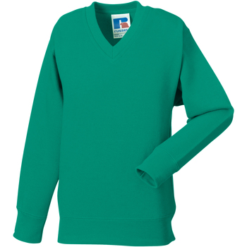 textil Børn Sweatshirts Jerzees Schoolgear 272B Flerfarvet