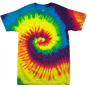 textil Dame T-shirts m. korte ærmer Colortone Rainbow Rainbow