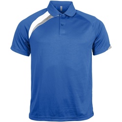 textil Herre Polo-t-shirts m. korte ærmer Kariban Proact PA457 Royal Blue/ White/ Storm Grey