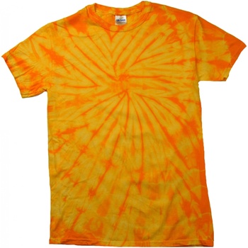 textil Børn T-shirts m. korte ærmer Colortone Spider Flerfarvet