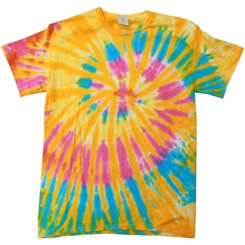 textil Dame T-shirts m. korte ærmer Colortone Rainbow Flerfarvet