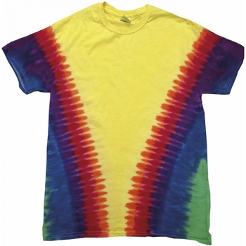 textil Børn T-shirts m. korte ærmer Colortone TD05B Rainbow Vee