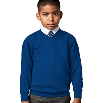 textil Børn Sweatshirts Jerzees Schoolgear 272B Flerfarvet