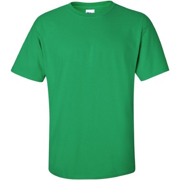 textil Herre T-shirts m. korte ærmer Gildan Ultra Grøn
