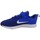 Sko Børn Lave sneakers Nike Downshifter 9 Psv Blå
