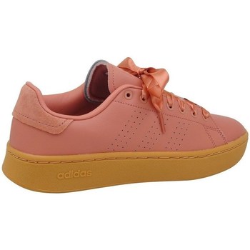 Sko Dame Lave sneakers adidas Originals Advantage Bold Pink, Honning