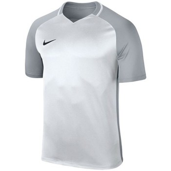 textil Dreng T-shirts m. korte ærmer Nike JR Dry Trophy Iii Jersey Grå, Sølv