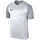 textil Dreng T-shirts m. korte ærmer Nike JR Dry Trophy Iii Jersey Sølv, Grå