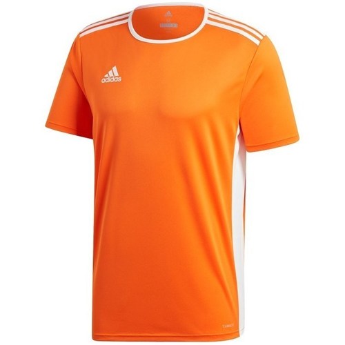 textil Herre T-shirts m. korte ærmer adidas Originals Entrada 18 Orange