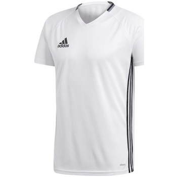 textil Herre T-shirts m. korte ærmer adidas Originals Condivo 16 Hvid