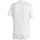 textil Dreng T-shirts m. korte ærmer adidas Originals Tabela 18 Hvid