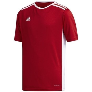 textil Dreng T-shirts m. korte ærmer adidas Originals JR Entrada 18 Rød