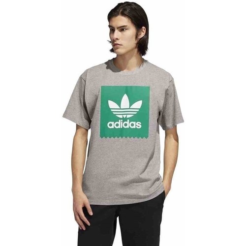 textil Herre T-shirts m. korte ærmer adidas Originals Originals Solid BB Grå