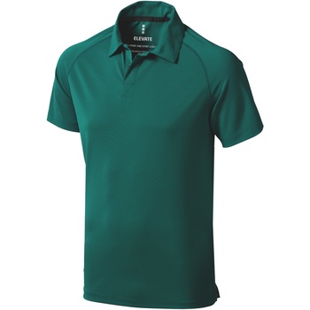 textil Herre Polo-t-shirts m. korte ærmer Elevate  Grøn