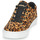 Sko Dame Lave sneakers Timberland SKYLA BAY LEATHER OXFORD Leopard