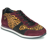 Sko Dame Lave sneakers Pataugas IDOL/I F4E Bordeaux / Leopard