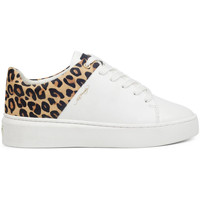 Sko Dame Sneakers Ed Hardy - Wild low top white leopard Hvid
