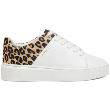 Sko Dame Sneakers Ed Hardy Wild low top white leopard Hvid