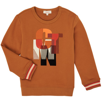 textil Dreng Sweatshirts Catimini CR15024-63-C Brun