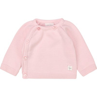 textil Pige Langærmede T-shirts Carrément Beau Y95228 Pink