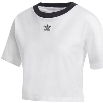 T-Shirts M. Korte Ærmer Adidas  Crop Top