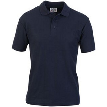 textil Herre Polo-t-shirts m. korte ærmer Casual Classics  Blå
